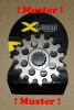 Ritzel 14 Z�hne sprocket  passt an Kawasaki Kfx Kx450f 08-14