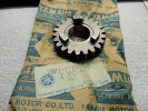 Getrieberad Zahnrad gear 5th pinion passt an Yamaha Yz 100 125 77-78 1W1-17151 Getrieberad Zahnrad gear 5th pinion passt an Yamaha Yz 100 125 77-78 1W1-17151