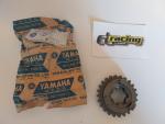 Getriebe Zahnrad 5 wheel gear passt an Yamaha Mx Yz 100 125 175 537-17251-01 Getriebe Zahnrad 5 wheel gear passt an Yamaha Mx Yz 100 125 175 537-17251-01