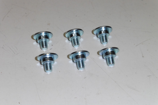 Schraubensatz 6-teilig Gabelschutz  screw passt an Kawasaki passt an Suzuki