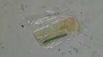 Schraube screw lens fitting passt an Yamaha Bw 200 350 Ca 50 1M1-84524 Schraube screw lens fitting passt an Yamaha Bw 200 350 Ca 50 1M1-84524