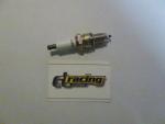 Ngk ZGR5C Zndkerze spark plug 
